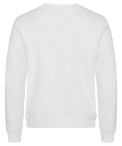 Alternative view of Miami Roundneck