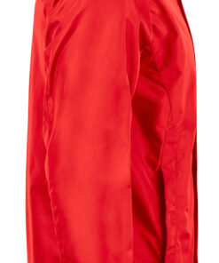 Webster - Image 4