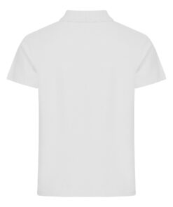 Alternative view of Basic Polo