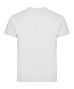 Alternative view of Basic-T
