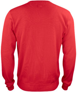 Alternative view of Everett V-neck Men