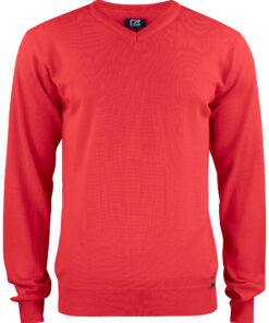 Everett V-neck Men
