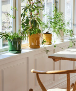 Elise ruukku pieni, keltainen - Image 5
