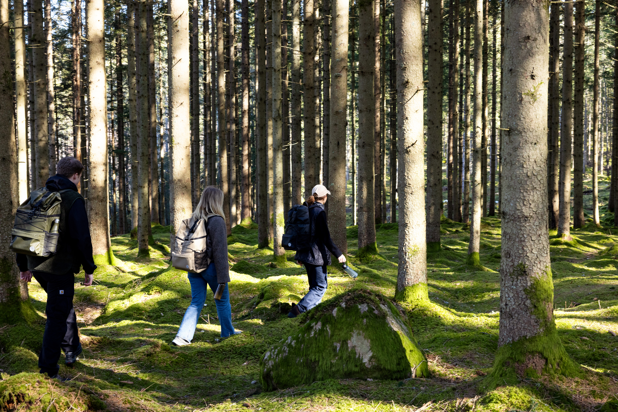 Vide kylmäreppu, vihreä - Image 23