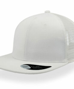 Alternative view of Snap mesh