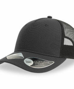 Alternative view of Zion