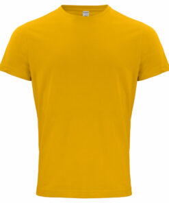 Alternative view of Classic OC-T