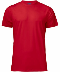 Alternative view of 2030 T-PAITA