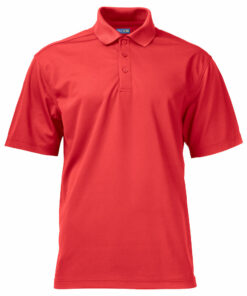 Alternative view of 2040 PIKEE